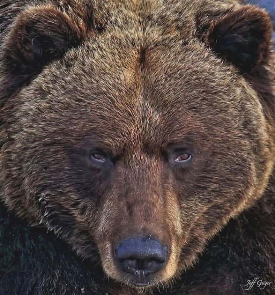 7fe 309430620 627856265411427 3060969900781623936 n