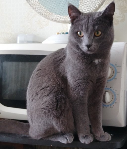 IMG 20250228 084105 edit 13941257622181