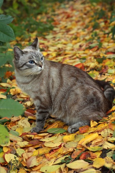 IMG 20211021 160501 092