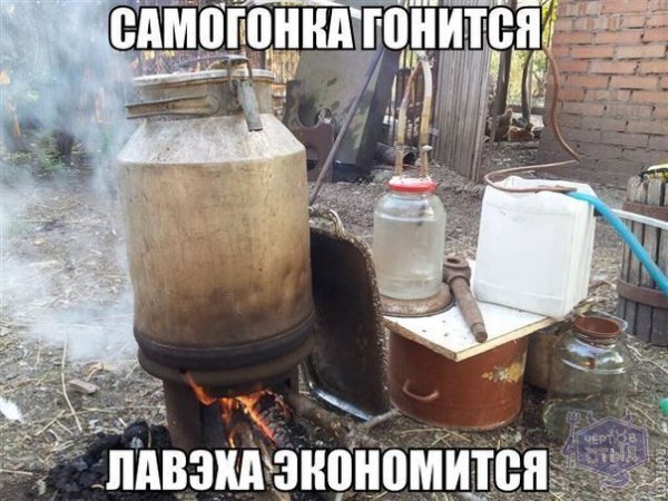 MockoBckoeMeTpo@
