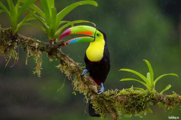 e4e63942d6671f3b2bca87efccaca