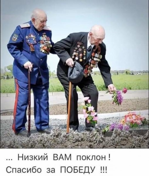 Д.П.15