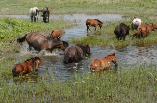 FB IMG 1556686812811