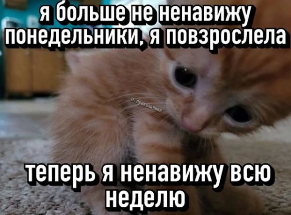 A56e767d4b 19984794