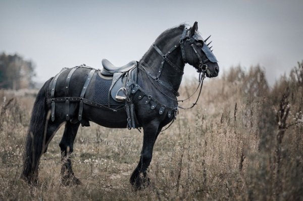 McmKRKUXRB-HXZTTbnMpcw22YCXqlXZb2yxBKDONT7rs27kQLe6qGfh93FEJ