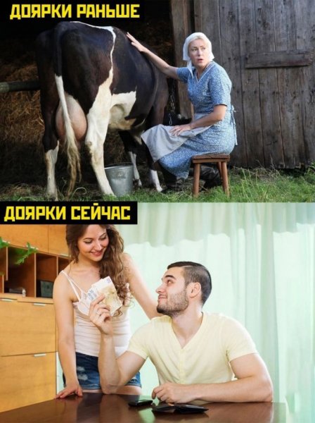 Samye-svezhie-memy-i-kartinki-20