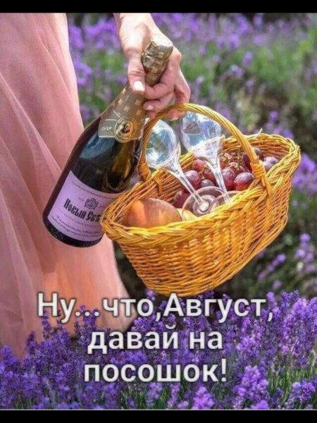 На посошок