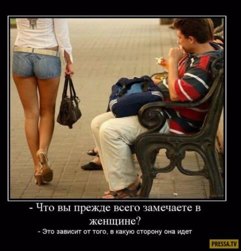 picture_232620307
