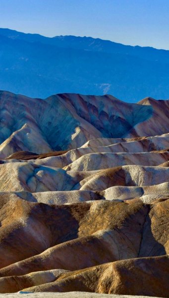 Screenshot 20250321-124458 One UI Home