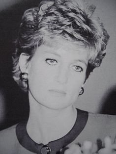 picture_356197202