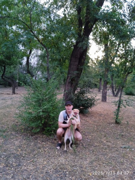 IMG 20250711 043754