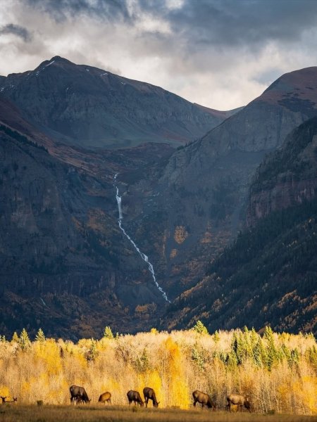 Cq-f6nwjem jqD6oD8mfbn8d4 BfikcZ9pcHgxtNjpso0VtgmWDplbPlO1-t