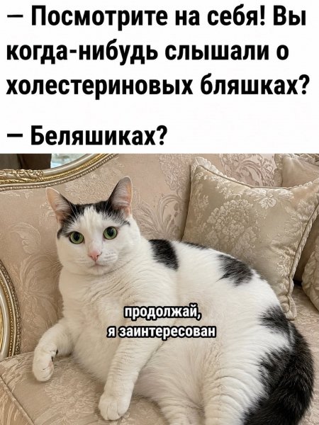 Kotkefir98 f220d4849448480fbcaa2378708524f4