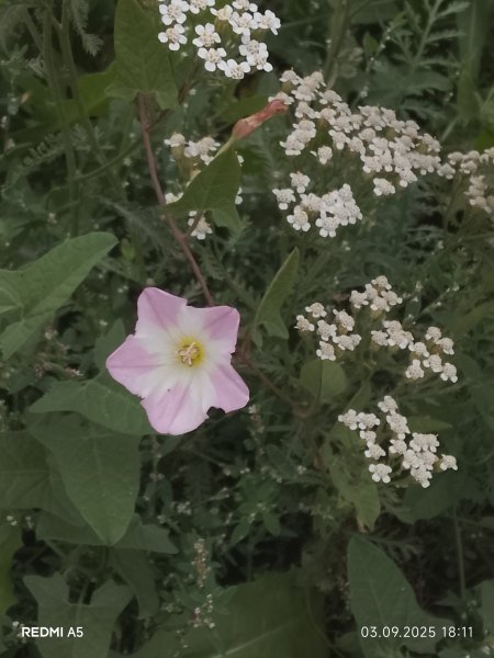 picture_396361889