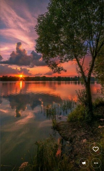 Screenshot 20251106-011003 Chrome