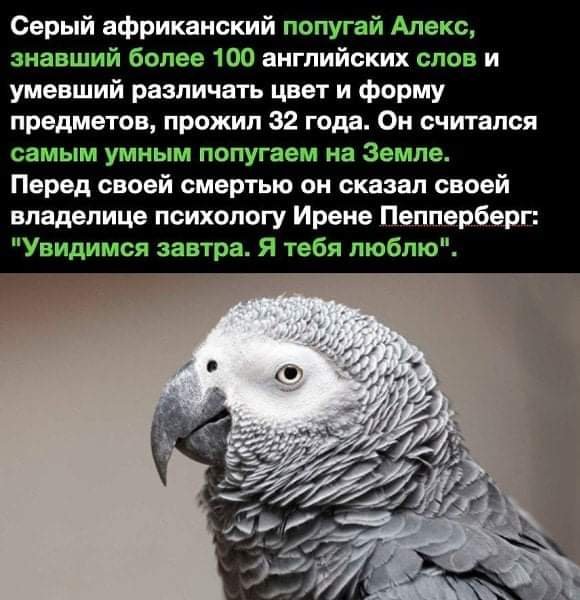 FB IMG 1607136525087