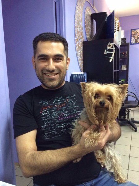 image-a9f4407992586a0c5c5ba4807f93ebfc2d