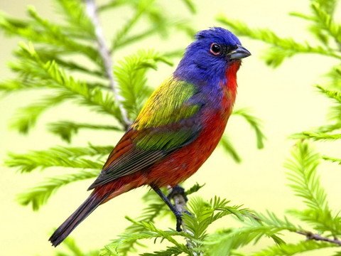 IMG 20190511 893517