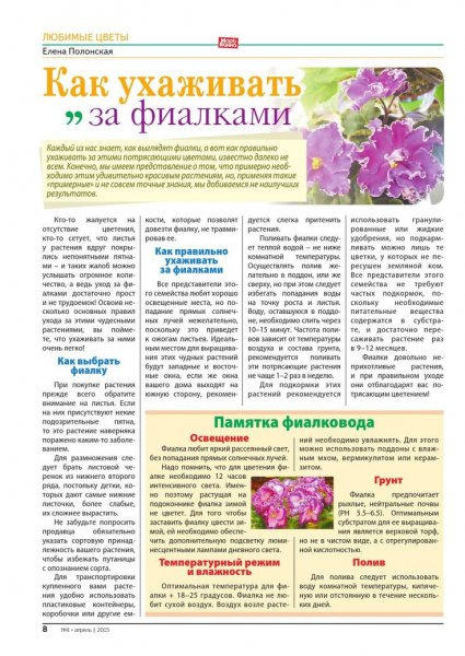Фиалка