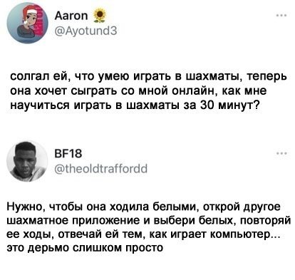 Шахматы)