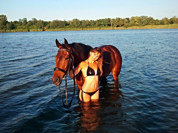 Любимая лошадь казачки