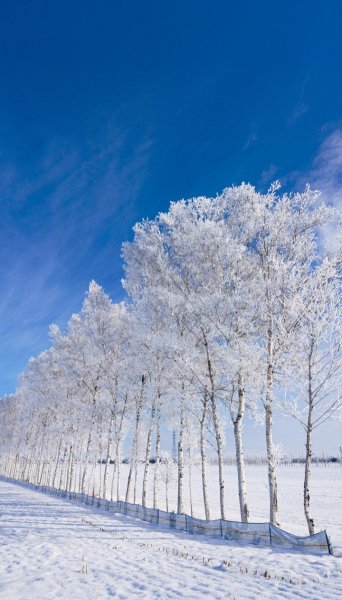 Screenshot 20260203-130549 One UI Home