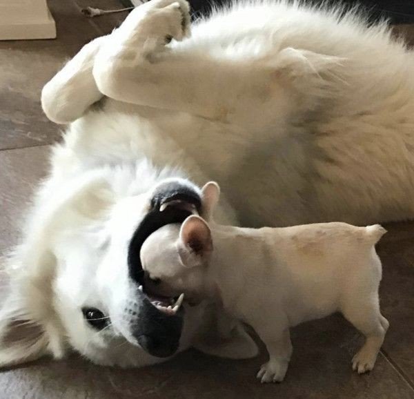 81fe89de3a95af92b15516e4c290be36