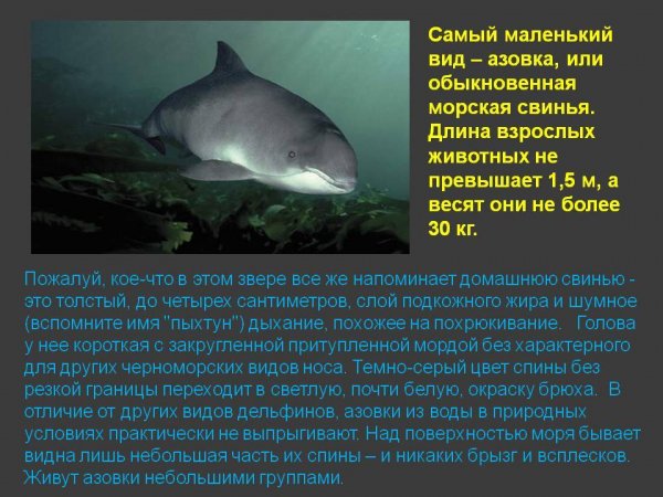 Азовка