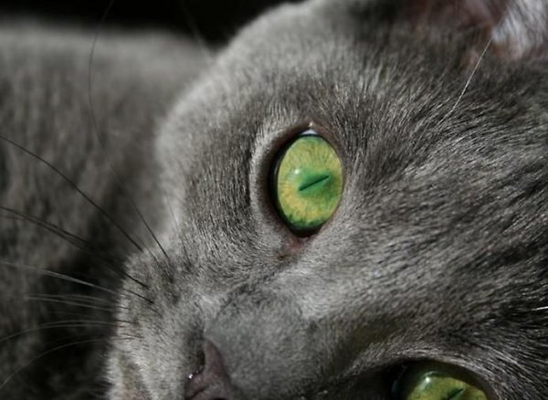 8e1bd 1302777026 1013