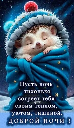 E76b81fa27c508a0a6937e0b8e9978dc