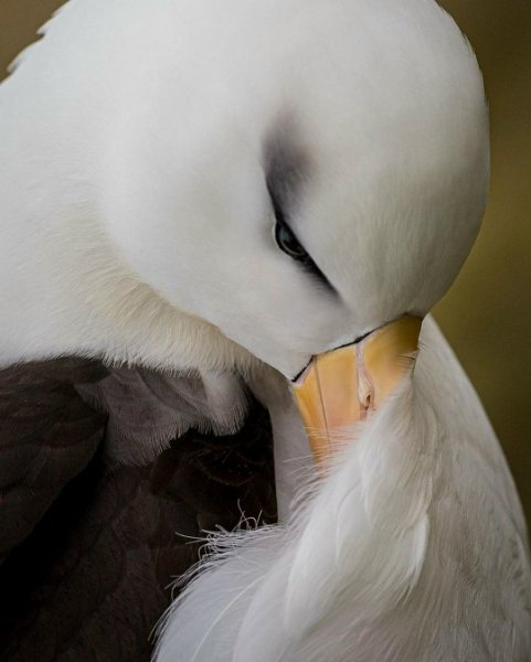 -YwJk5KF5iEp7jC8jdvFXEFcm6-MfaWvkCPBZoB00 lPzx9Fp2yBWx43BEEX