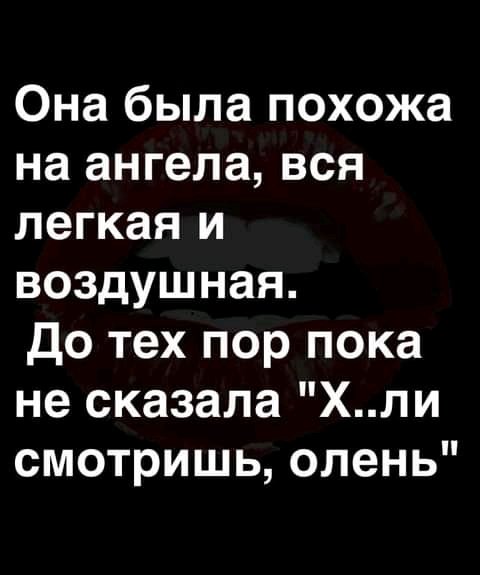 FB IMG 16190745994322333