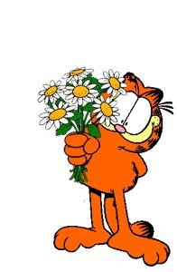 garfielddd