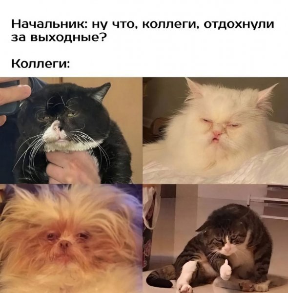 IMG 20250314 194110 865