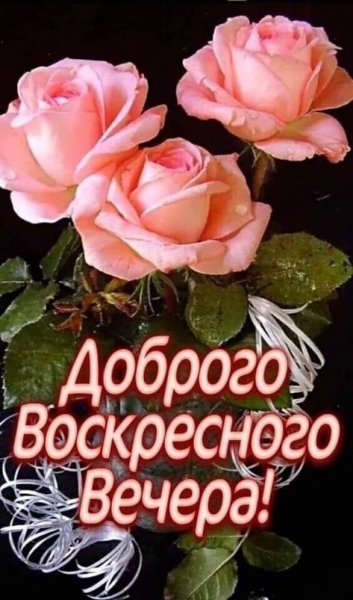 Друзья мои!