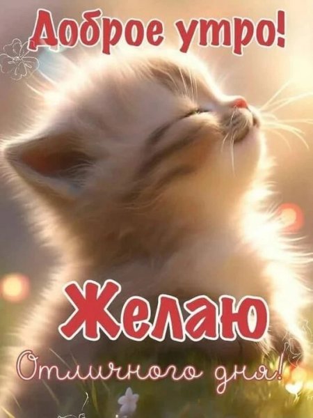 IMG 20260415 080458 278