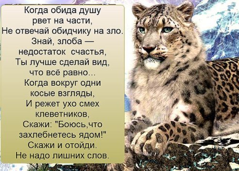 getImage(1)