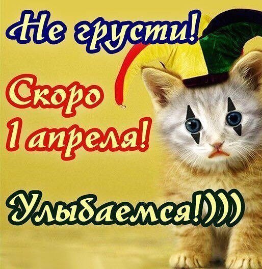 IMG 20170331 210449 770