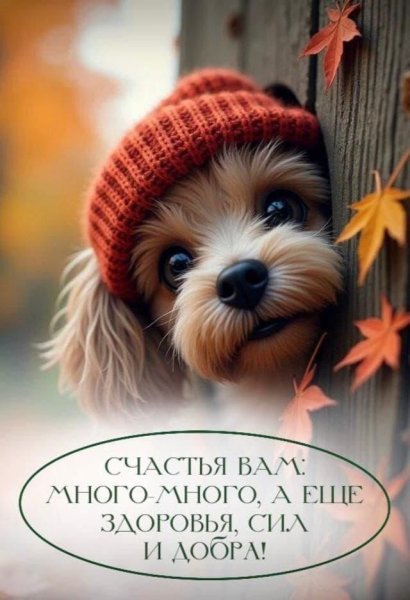 61daeb4593604c14b331e9ea7669075f