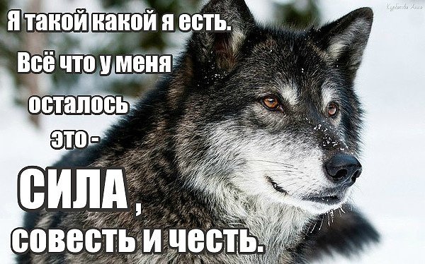 image003