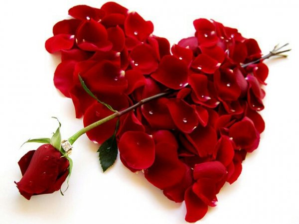 IMG-60fa98d52425f53b8c49dde6d38d335e-V