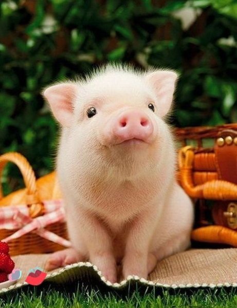 IMG 20181218 094115 904