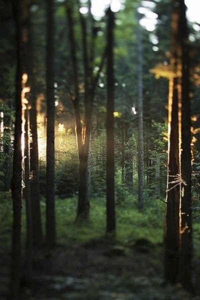 aaaa