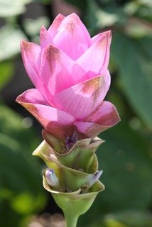 8c9817f16ee23c30dd18fdb5e48879f0