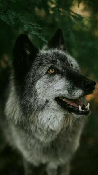 e3473ce169d469d7387f1f8e4ea99