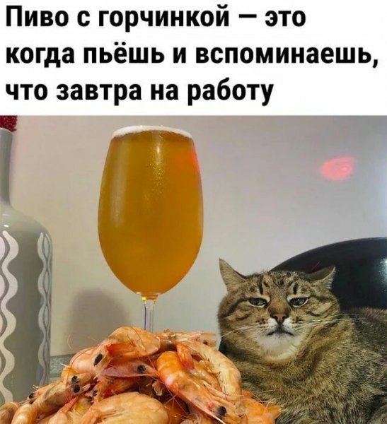 Пиво с горчинкой
