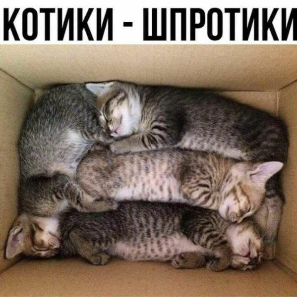 IMG 20260507 152010 620