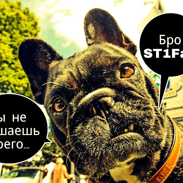 ST1F