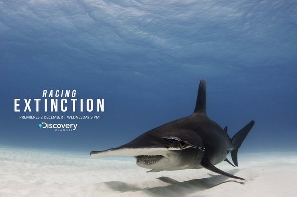 "Racing Extinction"