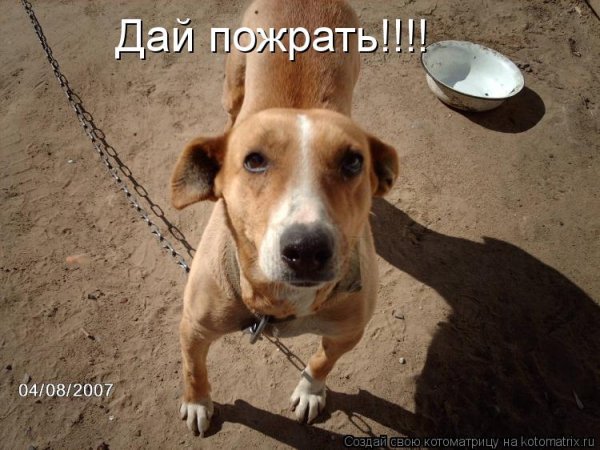 )))